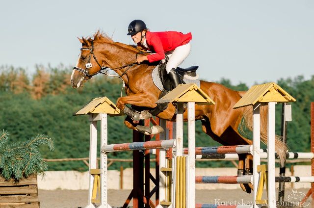 beeeca89-815e-426b-bbf7-3fb942ecc263