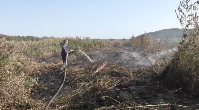 adecb1fa8e7cba27167aa3350c859c81