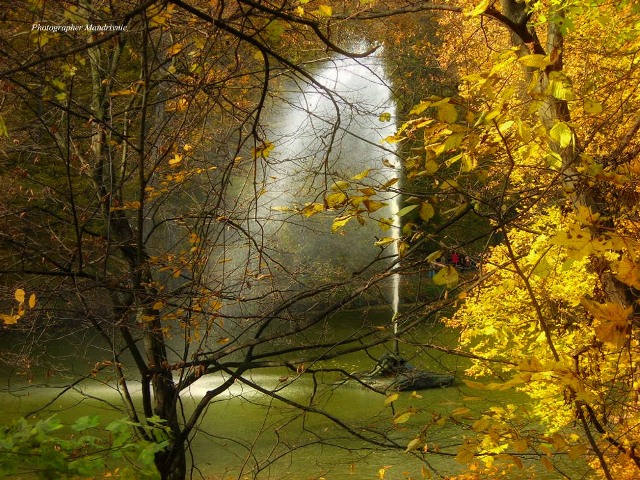 70528890_1310768322425516_4592075378142478336_n