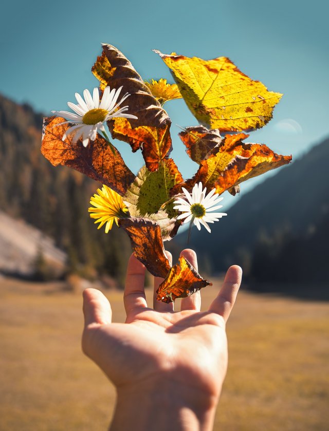 5d738280be3eb476237884