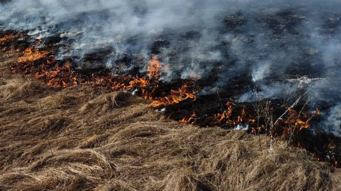 Пожежа на Черкащині. Головне управління держслужби із надзвичайних ситуацій в Черкаській області