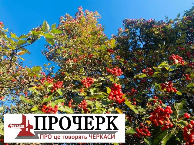 photo_2025-09-22_16-46-28