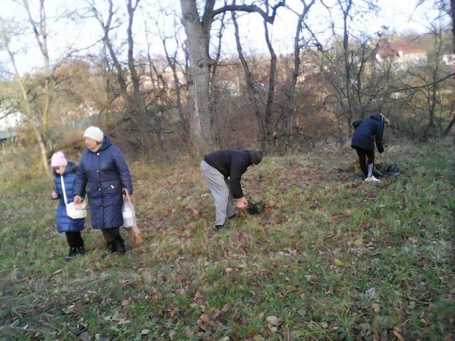 15095041_1136004413119705_3633929715621621165_n