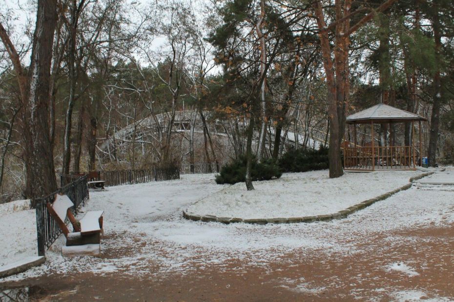 15310956_472163612969909_436849184_o