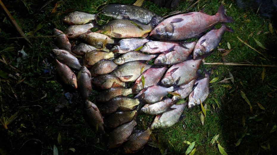 14753255_1673240166339356_2675383533974566577_o