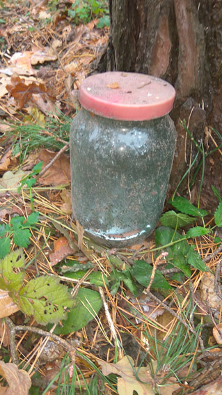 IMG_20161108_10452828