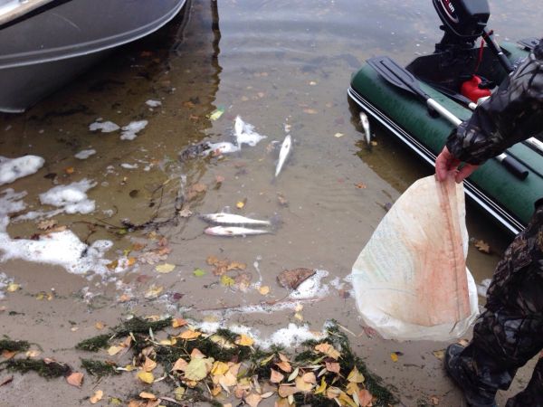 image-0-02-05-9bf215d986718464bbb0c1937935d2fed02fcb915a9d08947e9ba83980a42952-V