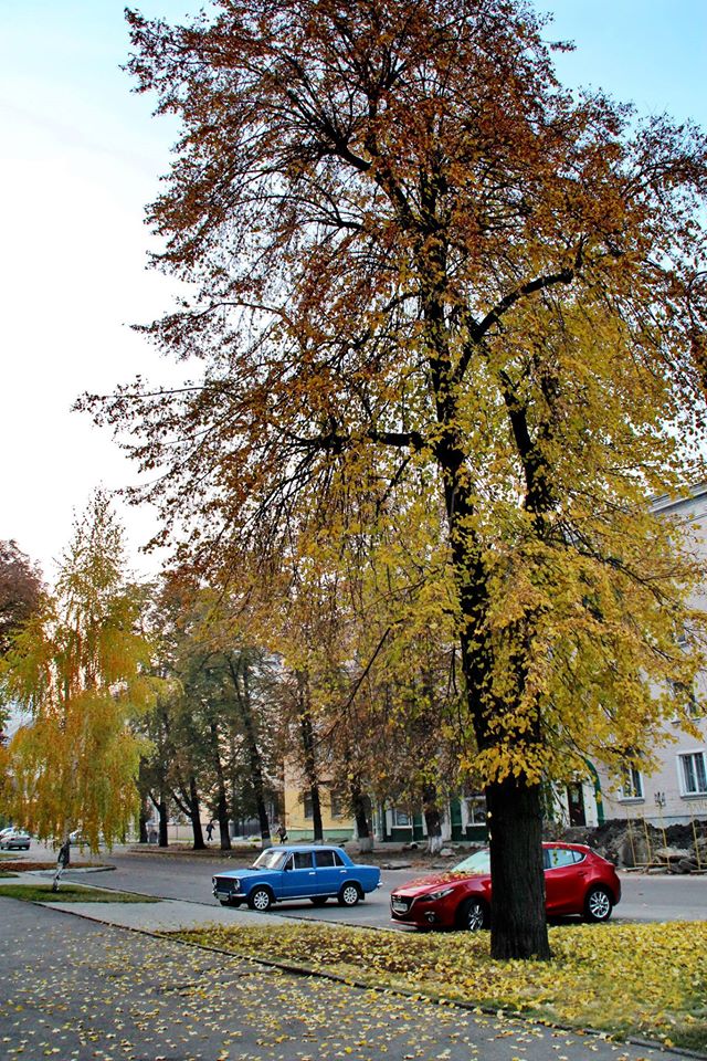 Фото Олександра Костирко