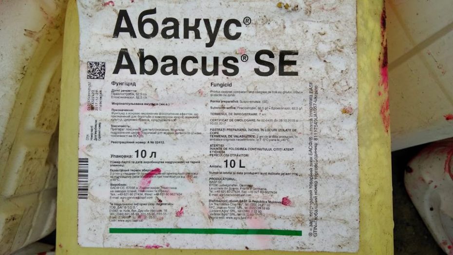 44791769_908231022706113_8431012323782557696_n