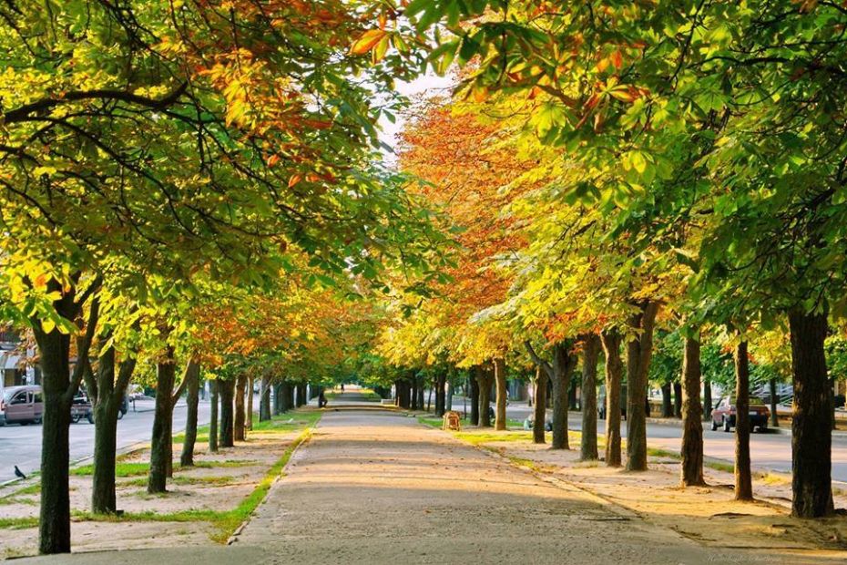 43580087_2119966934983886_1076581858239578112_n