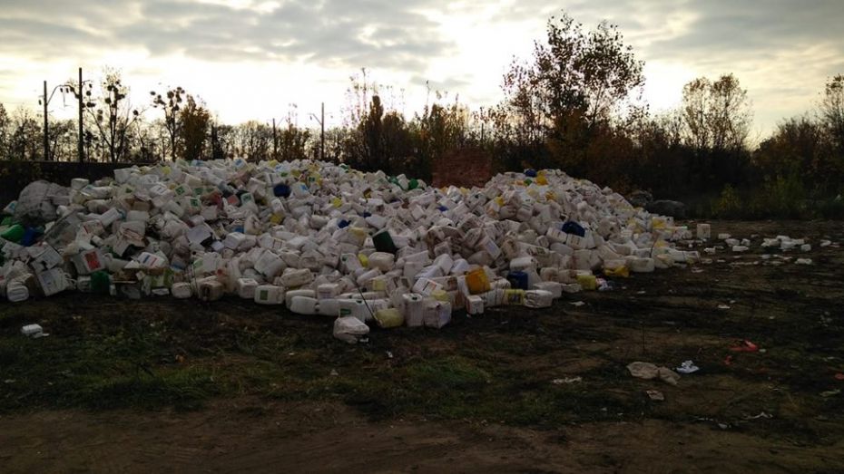 44805191_908230939372788_6384151856788013056_n