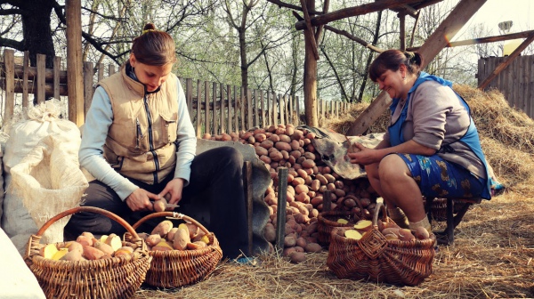 сільс насел