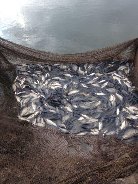 photo_2018-10-24_11-26-37