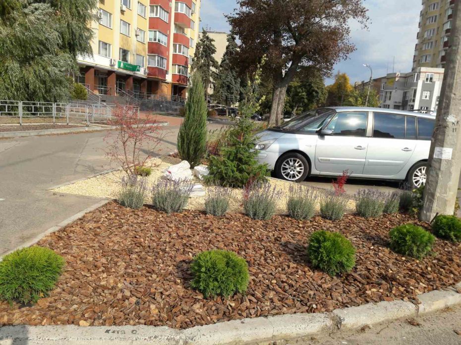 Реалізовано (4)