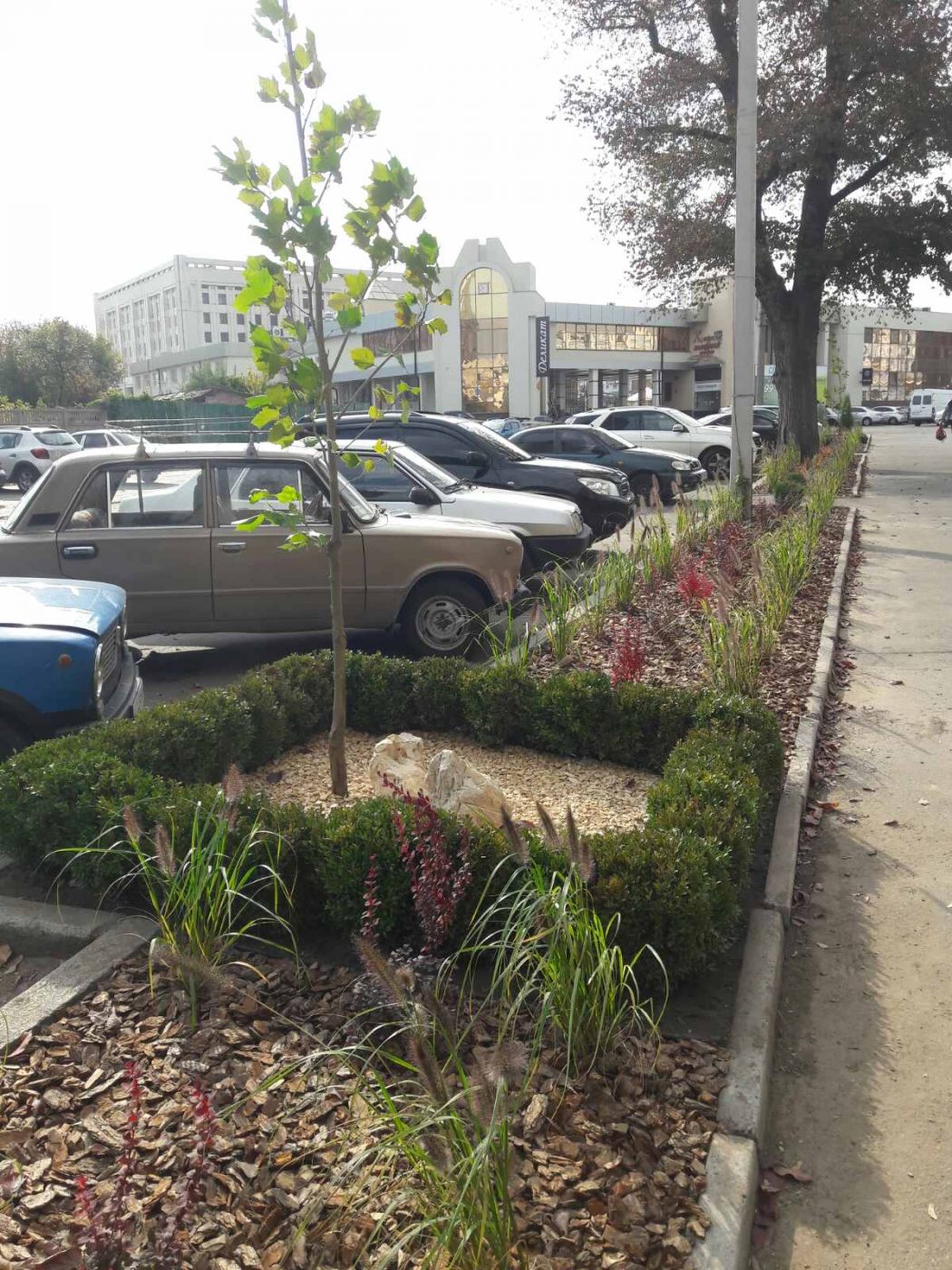 Реалізовано (1)