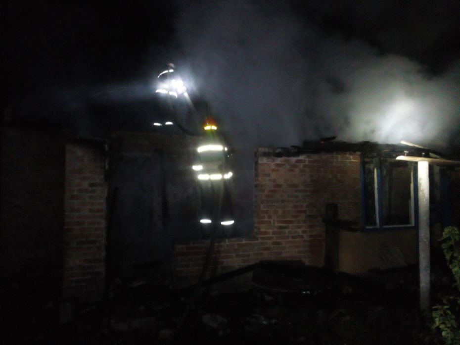 72212787_1355087961327778_4679757238569533440_o