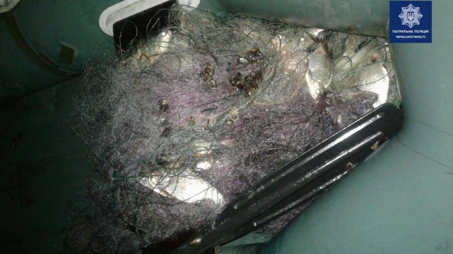 74214394_2491582354253159_1006267453988143104_o