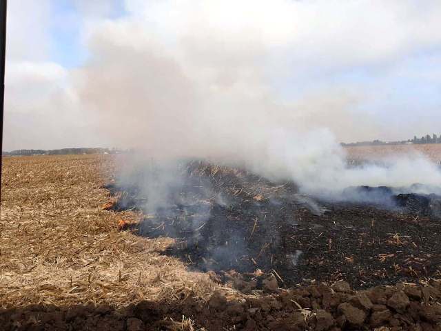 75271434_2541909659179238_4544791992986501120_n