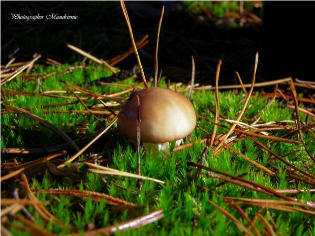 42867058_1081899181979099_2467620666178797568_n