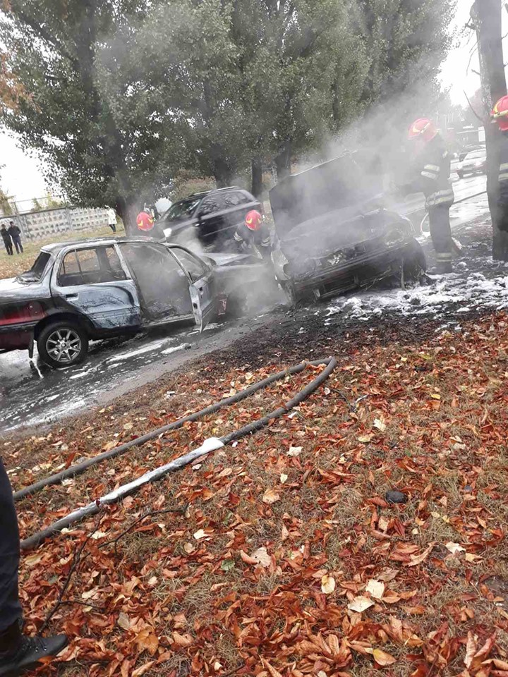 71272831_3072960592776314_4383748629400125440_n