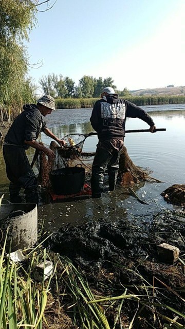 69870131_444324846171518_4217315270835830784_n