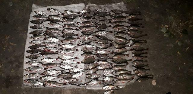 70911897_447700895833913_8641525868008570880_o