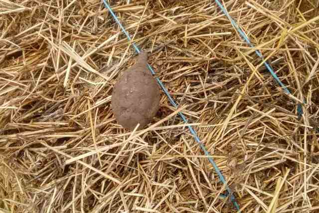 IMG-5c5995642dbc751b4a745531680a6c78-V