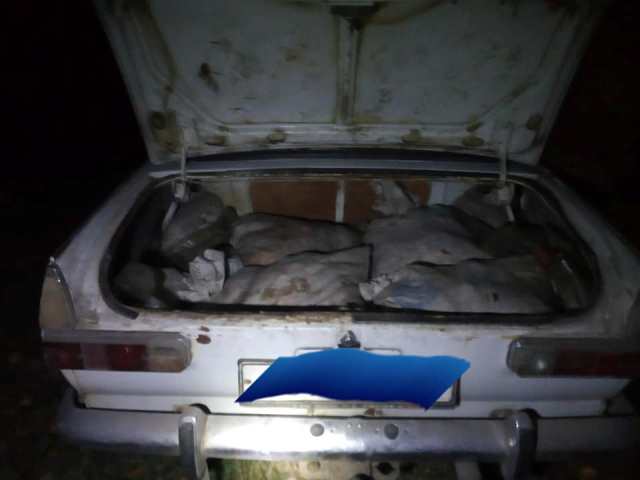 73147789_1146235005572379_4863969094564577280_n