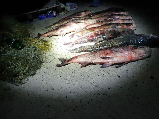 photo_2019-10-15_12-25-57