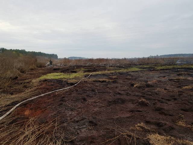 71907264_2552410564982609_4150088492803686400_o