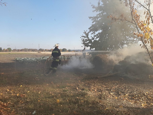 изображение_viber_2019-10-18_11-05-14