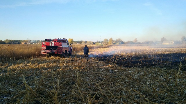 изображение_viber_2019-10-13_17-43-08