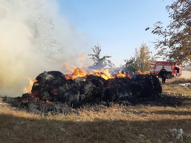 изображение_viber_2019-10-18_11-05-15