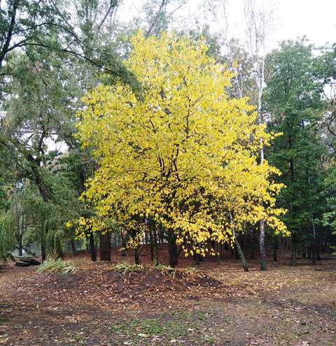 121127843_620134858679304_6262418824682373064_n