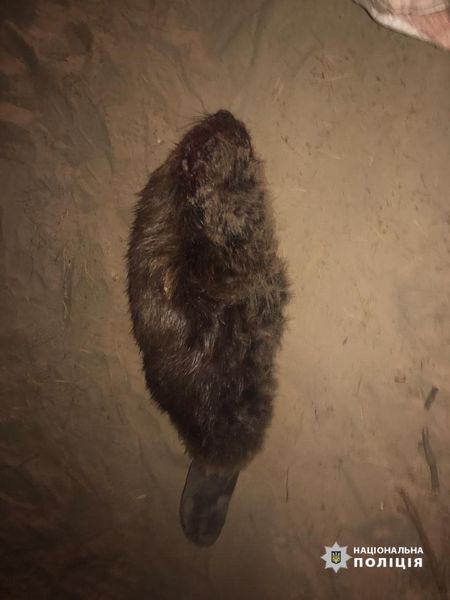 122052665_981539195664947_4201266701169446770_o