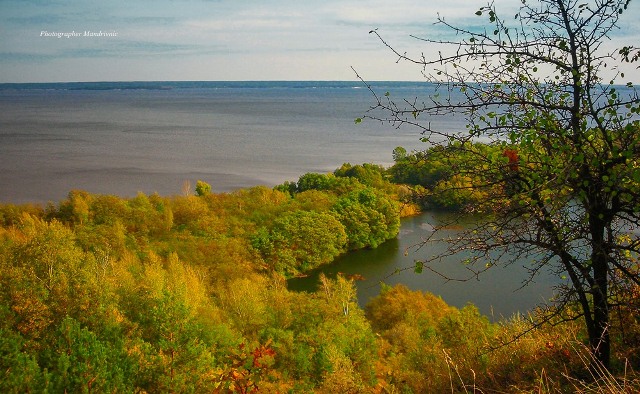 121638713_1671360746366270_1404176470109759826_o