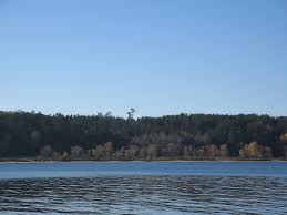 121007572_3499774480044938_2068214720210843082_n