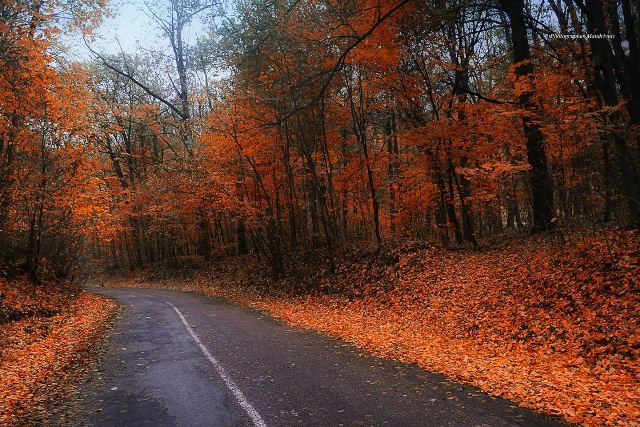 120925045_1658630680972610_6883172684638117837_o