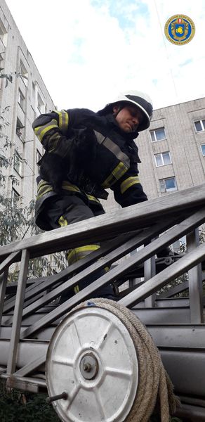 121677220_3436322649737685_939583269154589364_o