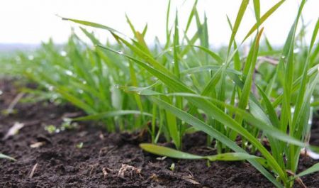 unnamed-2-e1603435865356