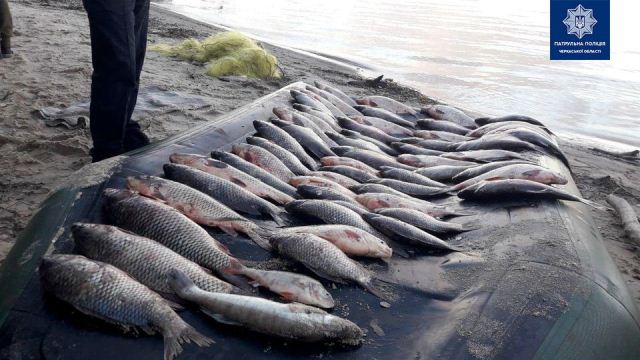 122119419_3373897466021639_7077423050093349888_o