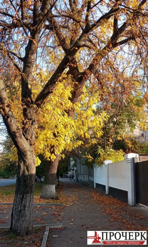 122627947_711673919465180_5887930513036549870_n