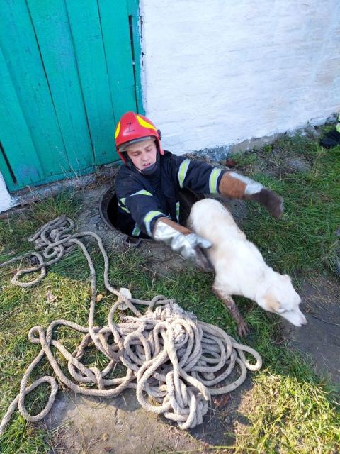 122432992_3444304965606120_4992124975958456416_o