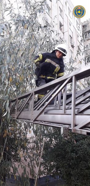 121569328_3436322306404386_8596611646676760629_n