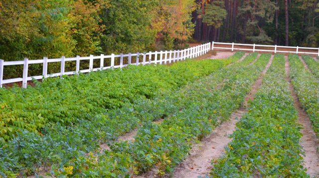 5-–-копія-1536x856