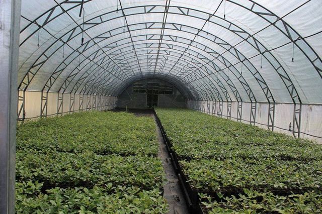 78349128_616844982276152_483961608478861951_o