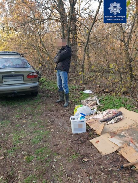 123846639_3419797311431654_3412604552662070351_o