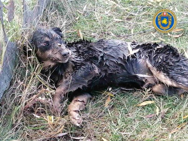 127123488_3535156193187663_531366977229625593_o