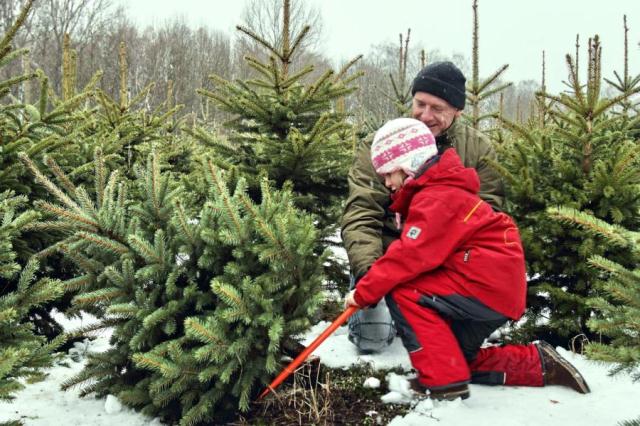 127507671_2118711261598185_8963365422524181245_n