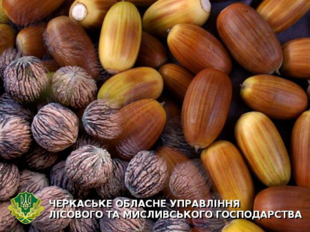 изображение_2020-11-17_142445-e1605615251929